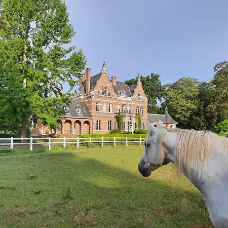 Alojamento de Acomodação e Pequeno-almoço Chateau De Ramegnies-chin